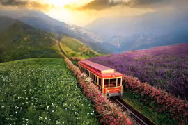 沙坝的登山列车为游客增添了绿色旅游新体验。图自越通社。