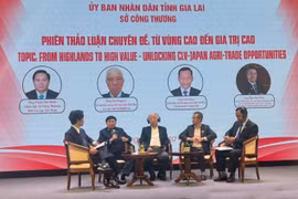 会议期间的专题讨论会。图自越通社