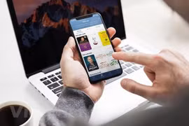 附图。图自越通社