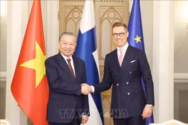 越共中央总书记苏林与芬兰总统亚历山大·斯图布。图自越通社