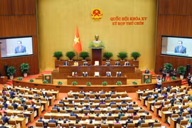 越南第十五届国会第九次会议隆重开幕。图自越通社