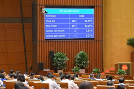 国会通过《数字技术产业法》。图自VOV