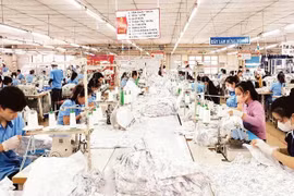 附图。图自越通社