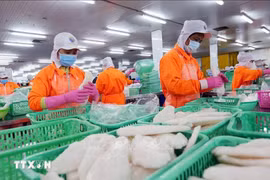 附图。图自越通社