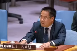 越南常驻联合国代表团副团长阮海流公使。图自越通社