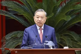 苏林总书记在会上发表讲话。图自越通社