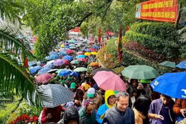 2025年乙巳年雄王节暨祖地文化旅游周吸引成千上万游客前往。图自富寿旅游报