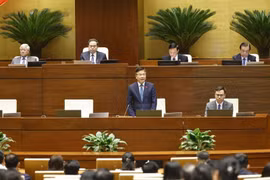 政府副总理黎成龙在2月12日召开的会议上发表讲话。图自越通社