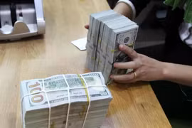 侨汇不仅是家庭支持资金，更是推动国家经济增长的重要资源。图自Vietnam+