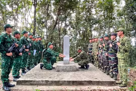 联合巡逻计划旨在加强边界线和国界碑的管理与保护工作。图自越通社