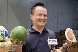 4 Ways Fresh 集团主席李黄维接受越通社记者的采访。图自越通社