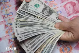 附图。图自越通社