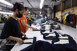 胡志明市永禄乡出口服装加工厂的工人正在作业。图自越通社