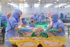 附图。图自越通社