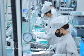 附图。图自越通社
