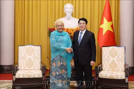 越南国家主席梁强与联合国副秘书长阿米娜·穆罕默德亲切握手。图自越通社