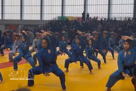 越武道表演节目。图自越通社