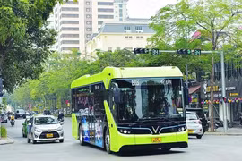 附图。图自moitruong.net