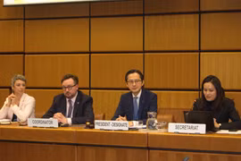 越南常驻联合国代表团团长杜雄越大使主持磋商活动。图自越通社