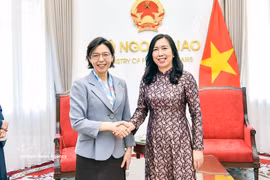 越南外交部副部长黎氏秋姮在外交部总部会见韩国新任驻越南特命全权大使李美研。图自越通社