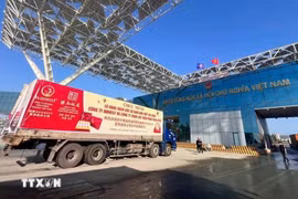 越南对中国出口的首批燕窝。图自越通社