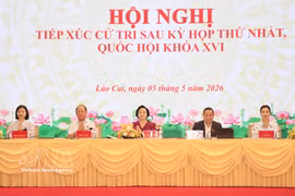 政府副总理范氏清茶在老街省开展选民接待活动。图自越通社