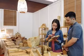 附图。图自越通社