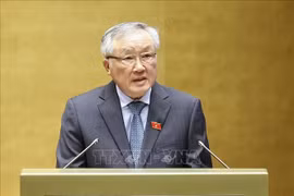 政府副总理阮和平。图自越通社