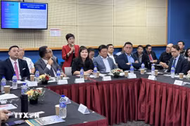 与会代表在会上展开讨论。图自越通社