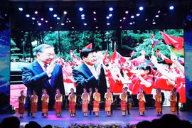 赞美越老特殊关系的节目。图自越通社