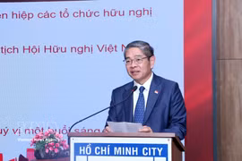 民间外交推动越新关系发展