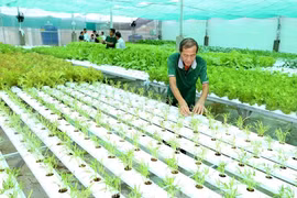 附图。图自越通社