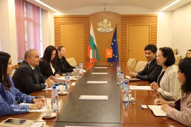 双方举行工作会谈。图自越通社