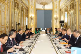 越共中央总书记、国家主席苏林与法国总统马克龙举行会谈
