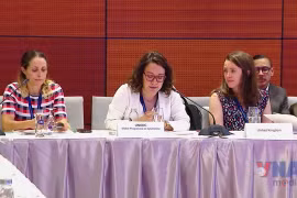 《河内公约》：加强国际合作 为儿童与青少年构建更安全的网络空间