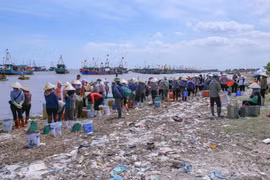 交海鱼市每天定期在海边举行两场集市，方便渔民买卖和运输海鲜。图自 越通社
