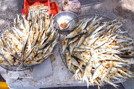 广治省沿海妇女的烤鲱鱼生计