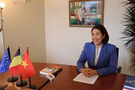 将越南—欧盟、越南—比利时关系推向新高度