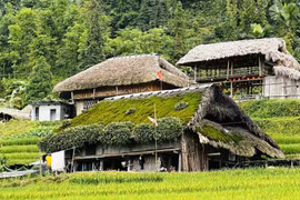 苔屋村的坚守：守护西昆岭脚下的文化记忆