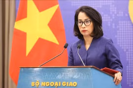 越南就欧盟拟将其移出税收不合作管辖区名单作出回应