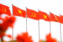 迈向越共十四大：越南迎难而上 国际地位持续增强