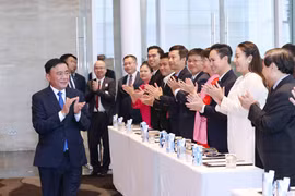凝聚旅新越南人力量 助力越新关系走深走实