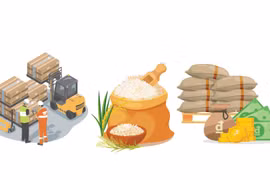 2024年越南大米创下出口量和出口额双重纪录