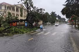 一号台风减弱为热带低压 残余环流继续给越南东北部带来强降雨