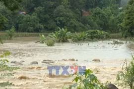 越南莱州省多地遭遇暴雨 山体滑坡和内涝灾情严重