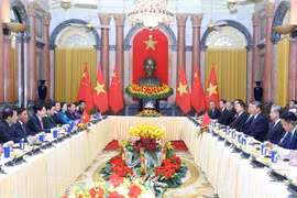 越南国家主席梁强同中共中央总书记、国家主席习近平举行会谈。