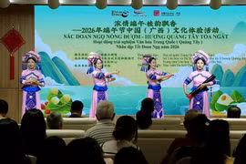 “浓情端午·佳韵飘香”中国文化体验活动架起越中青年友谊桥梁