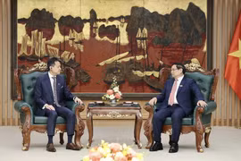 越南是创意创新的成功典范