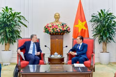 越南外交部长黎怀忠会见法国欧洲和外交部秘书长马丁·布里安。外交部供图