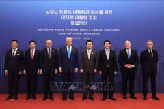 越南国家主席梁强与APEC领导人合影。图自越通社